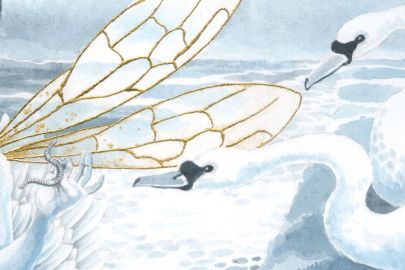 The Fairy Queen's wings in gold leaf, and the worm she is offering to two slightly suspicious swans