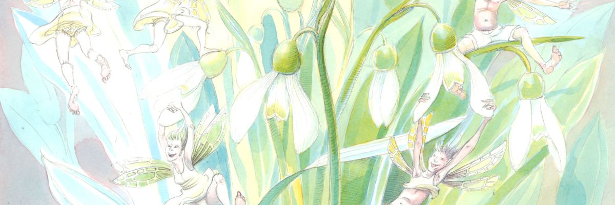 Snowdrop Fairies, 10 inches square, painting in watercolour by Nancy Farmer